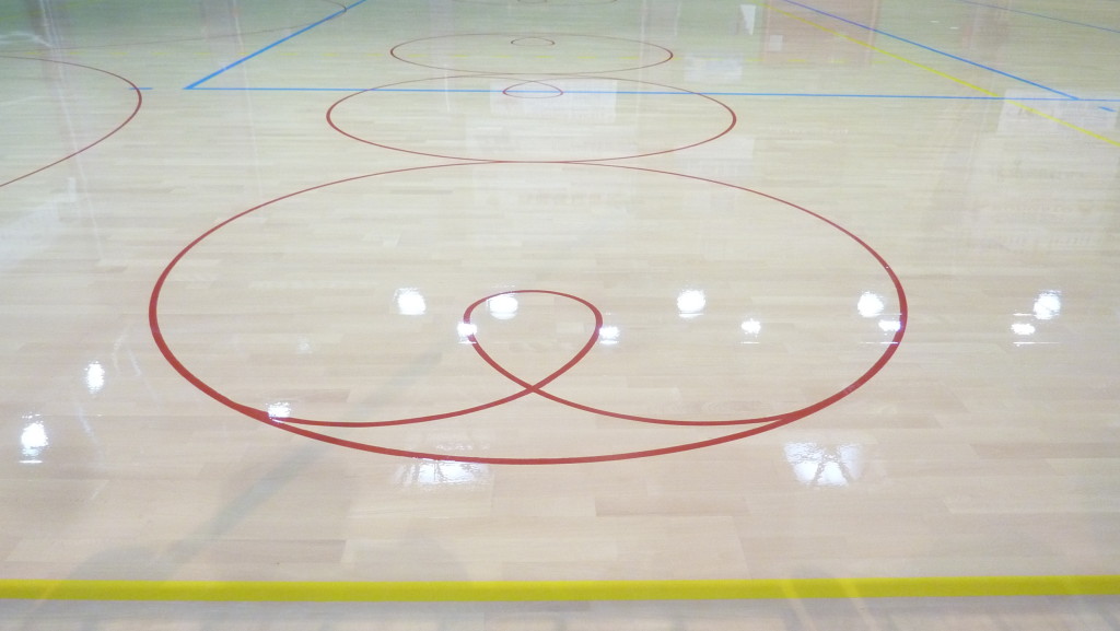 dalla riva trattamento skating parquet legnaro 2014